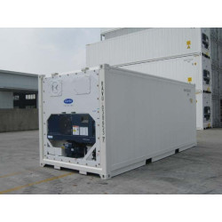 Container Frigorifique Reefer 20 Pieds Occasion